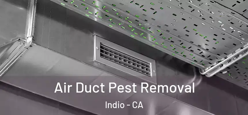 Air Duct Pest Removal Indio - CA