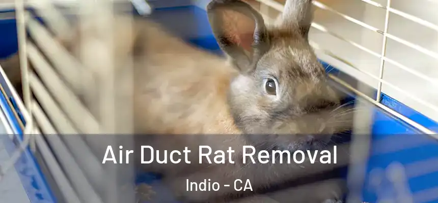 Air Duct Rat Removal Indio - CA
