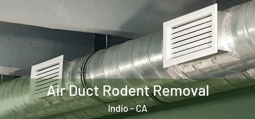 Air Duct Rodent Removal Indio - CA
