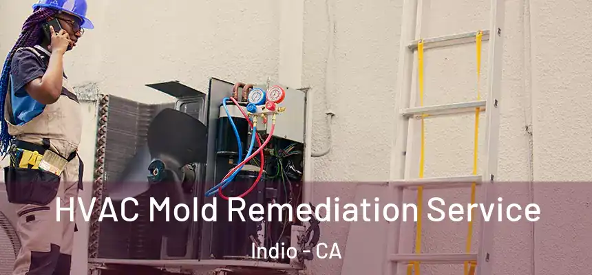 HVAC Mold Remediation Service Indio - CA