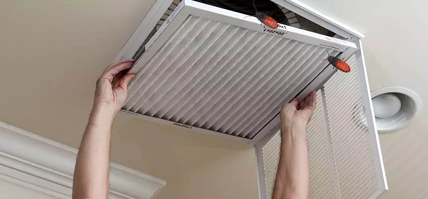 Preventive Cockroach-Proofing for Ducts in Indio