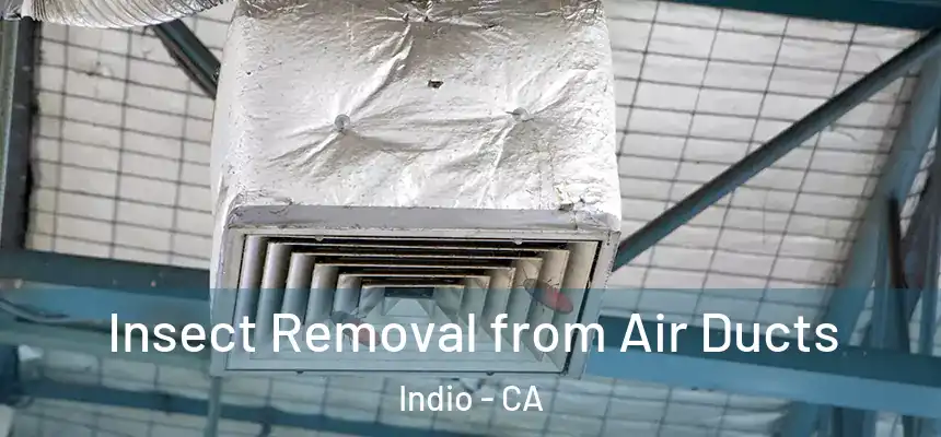 Insect Removal from Air Ducts Indio - CA