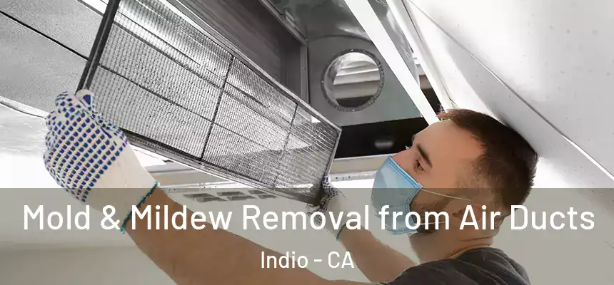 Mold & Mildew Removal from Air Ducts Indio - CA