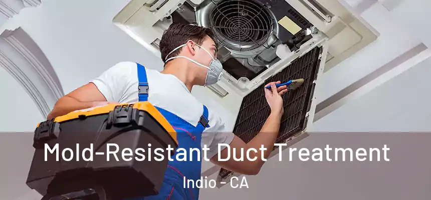 Mold-Resistant Duct Treatment Indio - CA