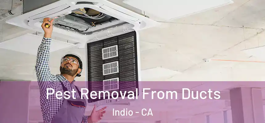 Pest Removal From Ducts Indio - CA
