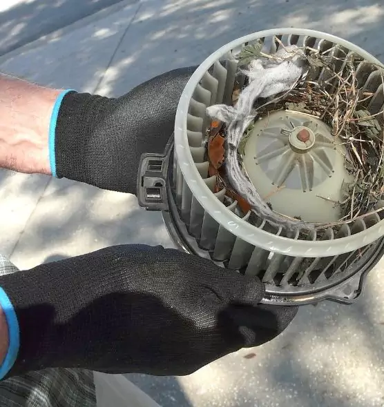 About Air Duct Mice Removal in Indio, CA