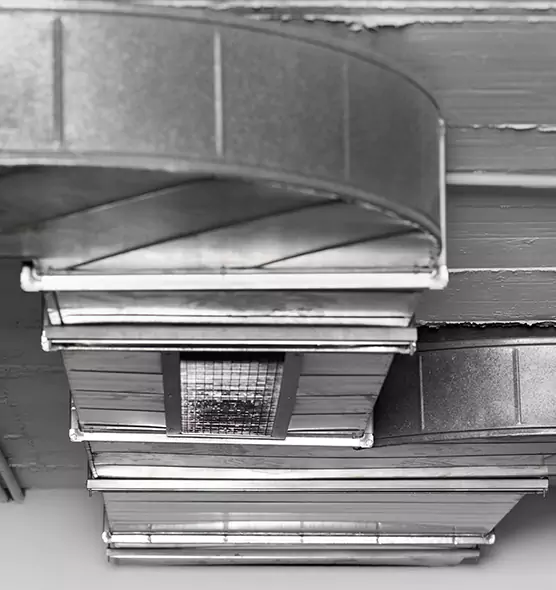 Professional Air Duct Pest Removal in Indio, CA