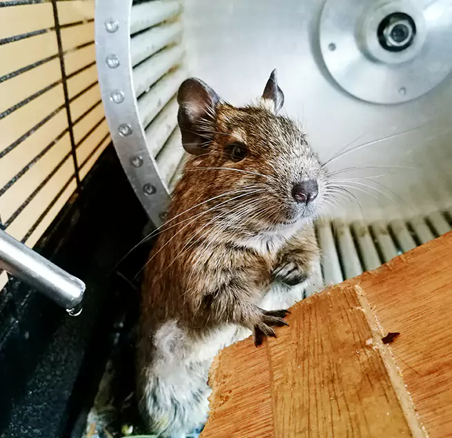 Why Homeowners & Businesses Trust Us Indio, CA