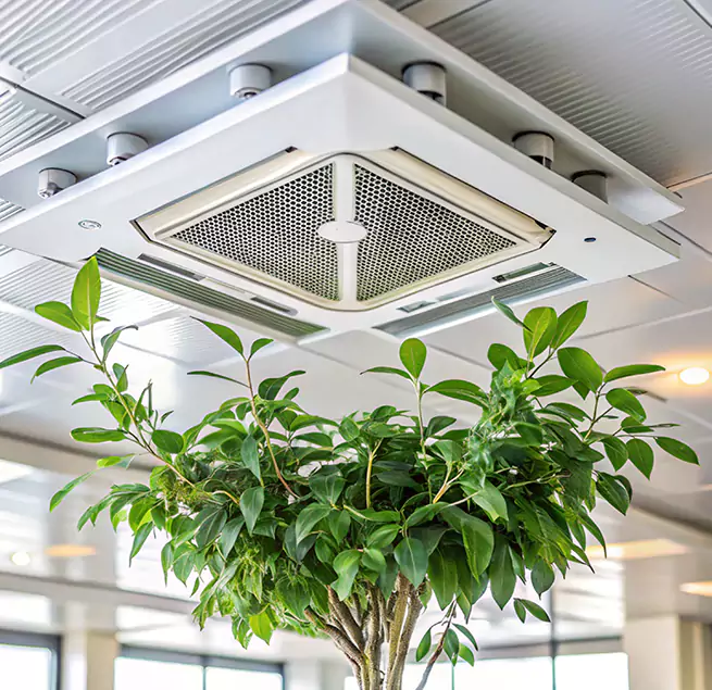 Why Homeowners & Businesses Trust Us in Indio, CA?